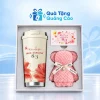 Minh họa ly kem hoa đỏ, khăn gấu hồng và thiệp trong hộp chia ô trên nền thương hiệu