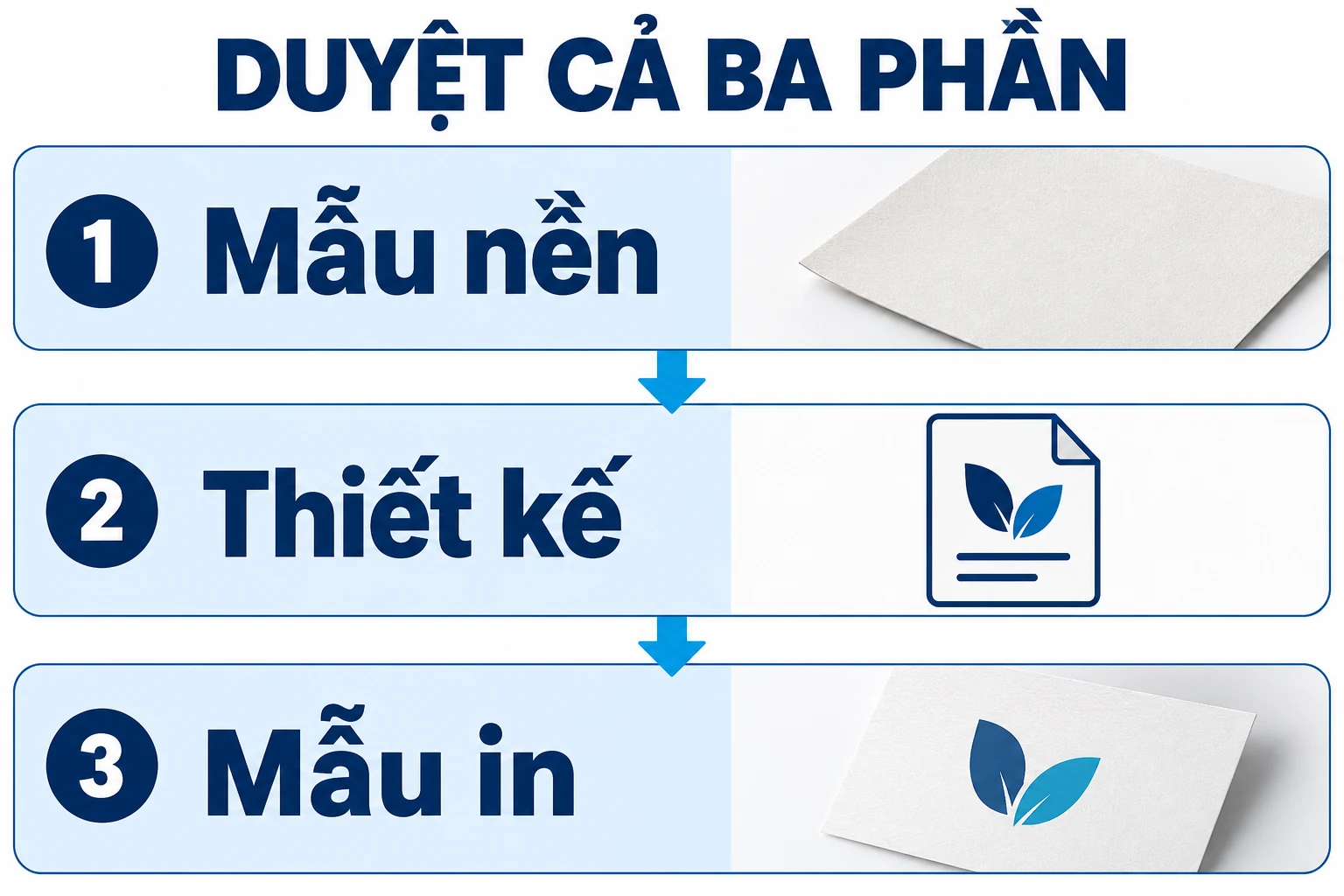 Ba phần mẫu nền, thiết kế và mẫu có logo để đối chiếu