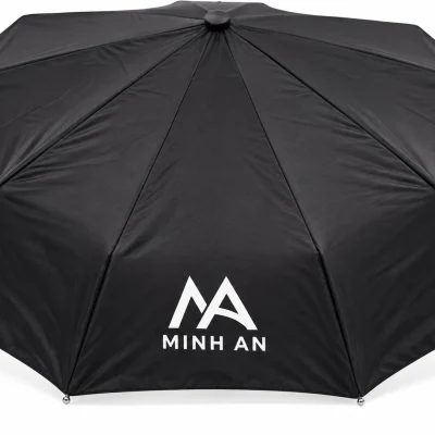 Mô phỏng logo MINH AN trong một múi ô đen