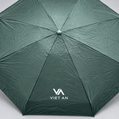 Mô phỏng logo VIET AN trên một múi ô xanh rêu
