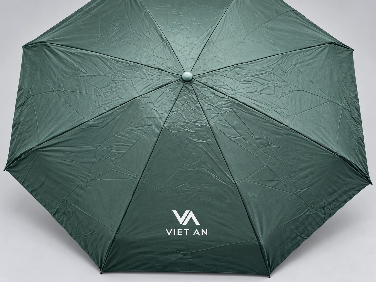 Mô phỏng logo VIET AN trên một múi ô xanh rêu Mô phỏng logo VIET AN trên một múi ô xanh rêu