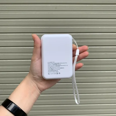 Mặt sau thật SENDEM P300 ghi dung lượng pin, dung lượng định mức và tổng đầu ra