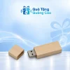 USB gỗ UGV 006 nắp rời trên nền xanh nhạt