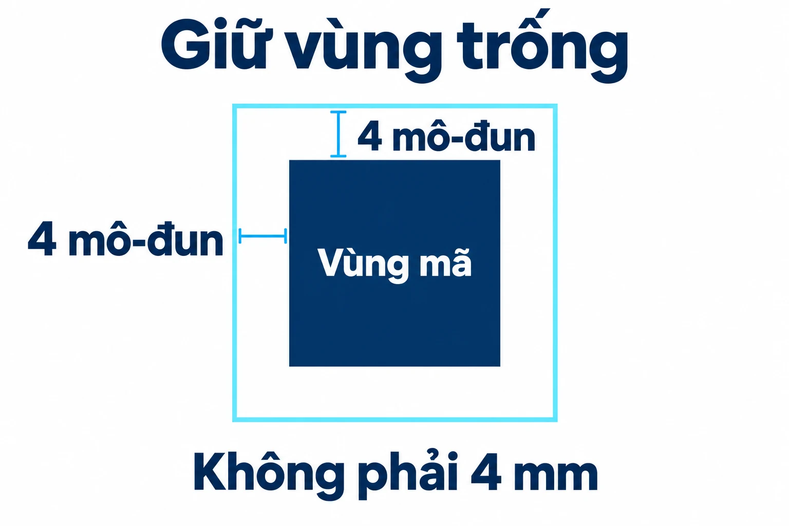 Vùng trống bốn mô-đun ở bốn cạnh vùng mã minh họa
