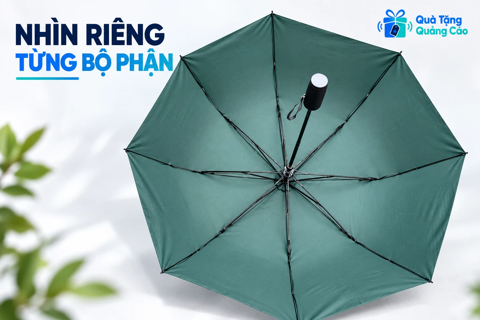 Mặt trong ô xanh cho thấy khung, cán và các điểm nối nhìn thấy từ nguồn